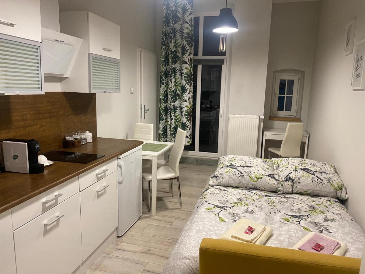 Ferienwohnung Przytulna Kawalerka 10Min Pieszo Od Dworca/Galerii Kattowitz Exterior foto