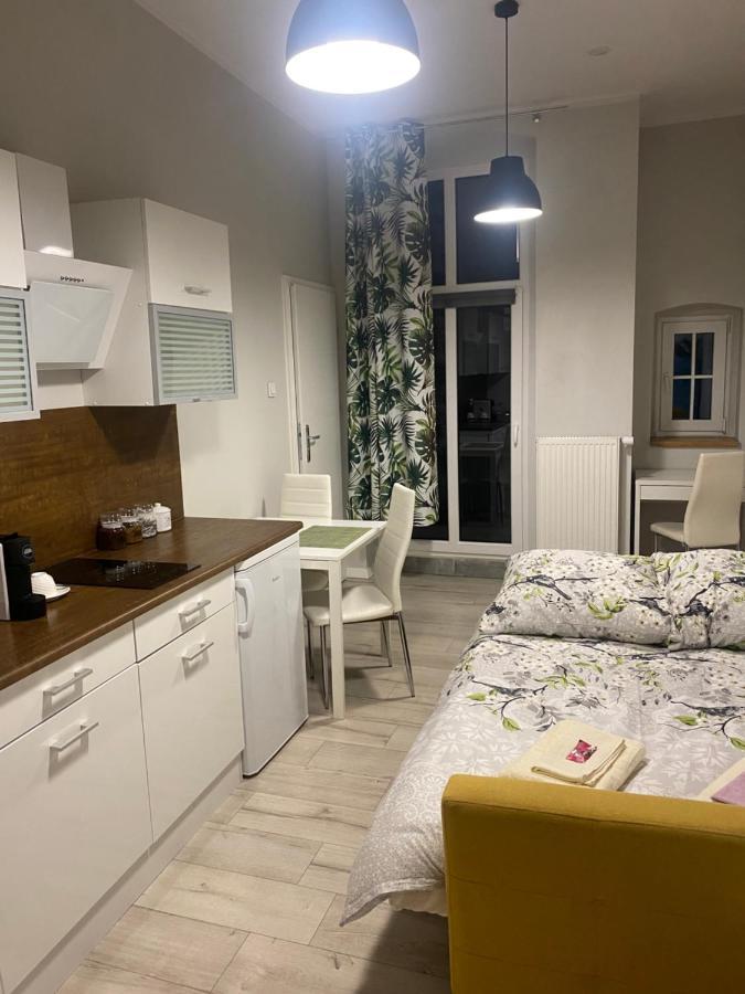Ferienwohnung Przytulna Kawalerka 10Min Pieszo Od Dworca/Galerii Kattowitz Exterior foto